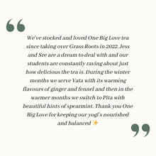 Load image into Gallery viewer, Ayurvedic Tea: Wholesale Partner Packs - ONE BIG LOVE
