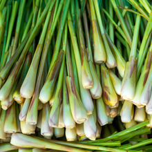 Load image into Gallery viewer, Lemongrass Essential Oil - ONE BIG LOVE
